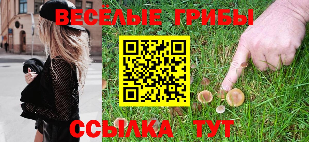наркотики  Псилоцибиновые грибы MAGIC MUSHROOMS  Вход с VPN  Зерноград  Галлюциногенные грибы мицелий 